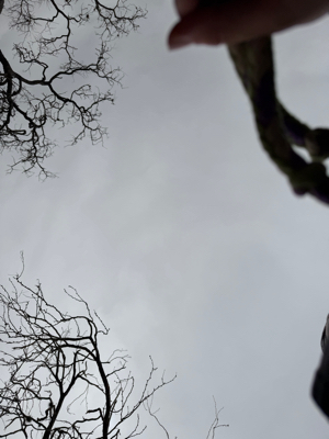 Elizabeth R - UT-Austin Babysitter