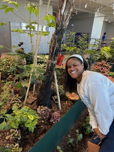 Brittney C - Ole Miss Babysitter