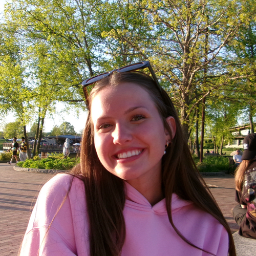 Allison P - UT Babysitter