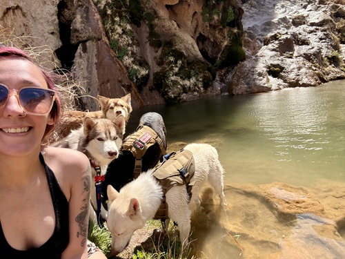 Zandra B - UTPB Babysitter