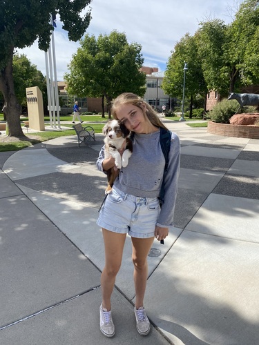 Ashley R - CSU Babysitter