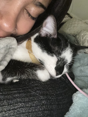 Maya R - Georgia State Babysitter