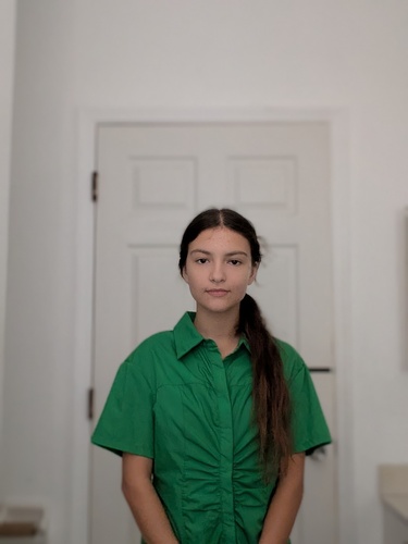 Anna T - University of South Florida-Sarasota-Manatee Babysitter