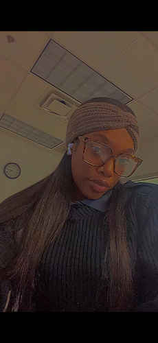 Seyonnie K - Houston Community College System Babysitter