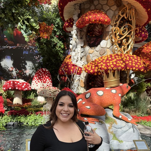 Emily M – Simpson Student Seeking Nanny Jobs