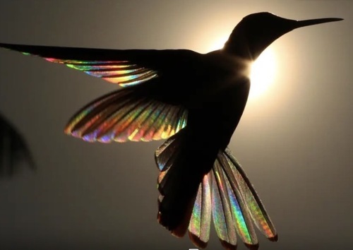 Danielle F - Monmouth Babysitter