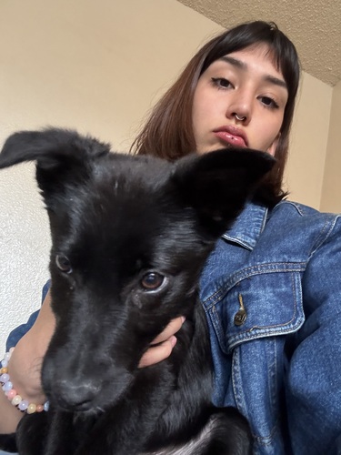 Isabella R - MSU Billings Babysitter