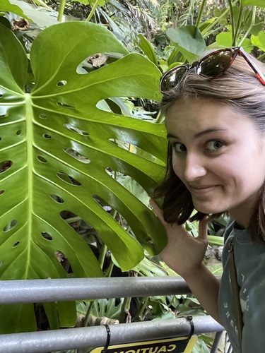 Anneliese O - UC Davis Babysitter