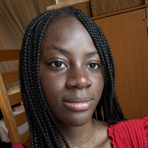 Oyindamola F - Undefined Babysitter