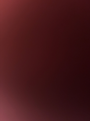 Jenaan P - Belmont Babysitter