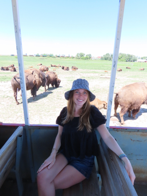 Olivia T - CU Boulder Babysitter