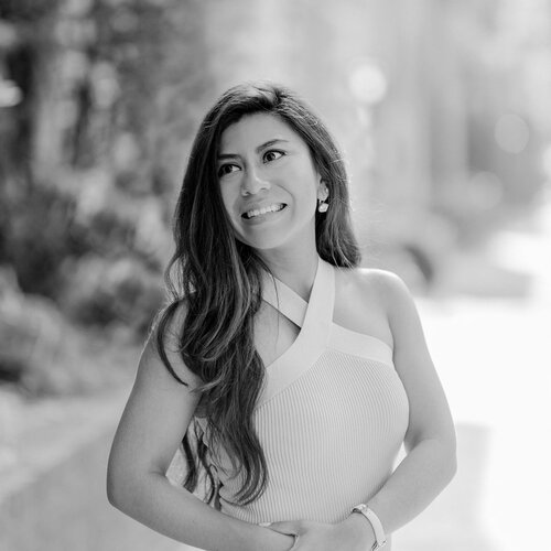 Lucero F - AU Babysitter