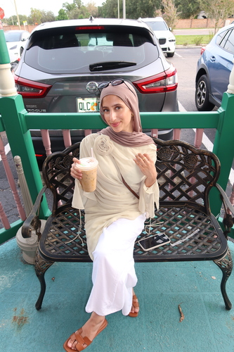 Salsabil A - Wayne County Community College District Babysitter