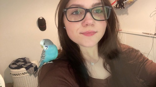 Olivia M - Southern Maine Community College Babysitter