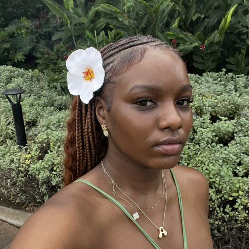 Amani M - Palm Beach State Babysitter