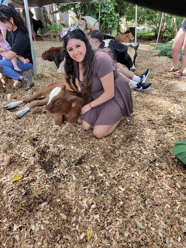 Adriana L - Carrington College-Sacramento Babysitter