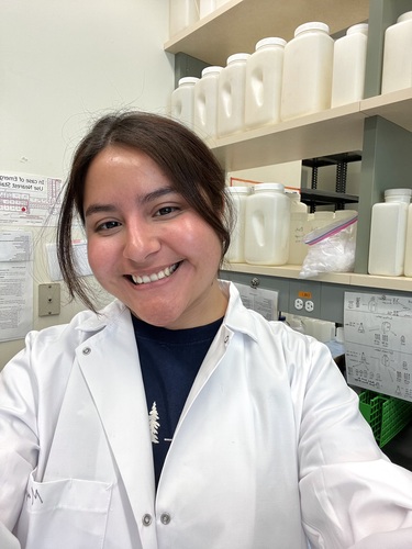 Mayra V - Rhodes College Babysitter