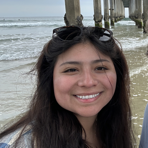 Audra H - Volunteer State Community College Babysitter