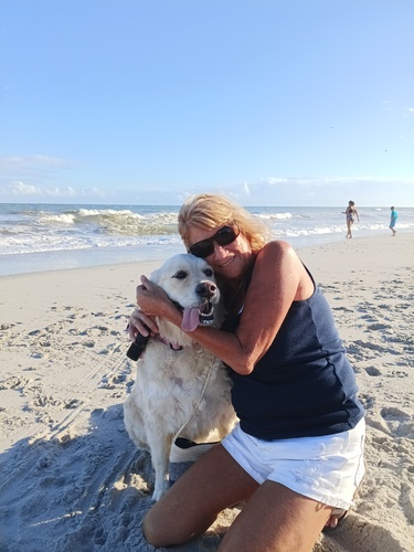 Traci K - UCC Babysitter