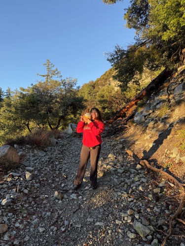 Leslie P - Fullerton College Babysitter