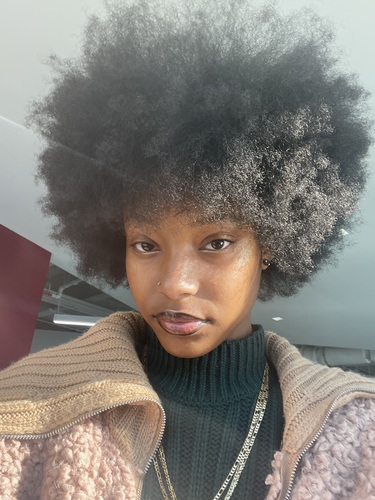 Laila S - Texas Southern Babysitter