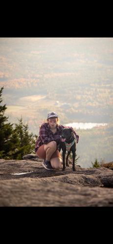 Alison C - Houghton Babysitter