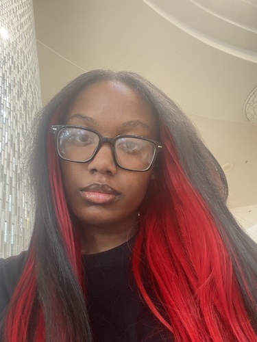 Armani C - Wayne County Community College District Babysitter