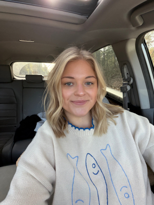 Brayley J - SNHU Babysitter