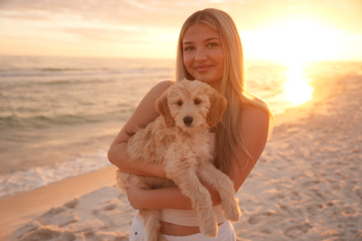 Sophia A - UAB Babysitter