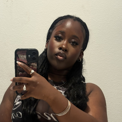 Oluwadamilola A - UT Arlington Babysitter