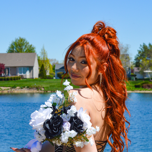 Destiny C - Elgin Community College  Babysitter
