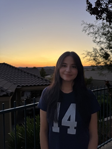 Sophia V - Fairfield Babysitter