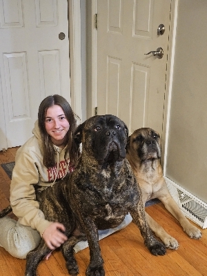 Clare A - Edgewood Babysitter