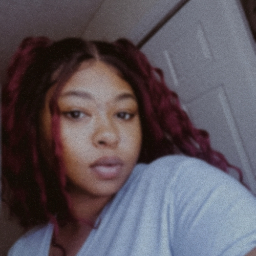 Destiny B - Fayetteville Technical Community College Babysitter