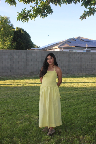 Alba P - Maricopa Community Colleges  Babysitter