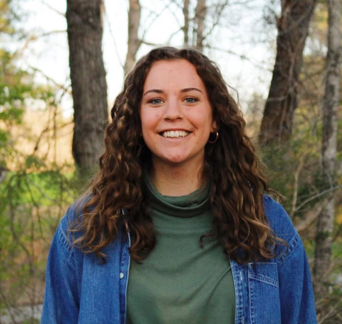 Sarah A - Union Babysitter