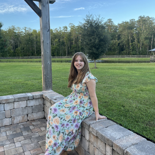 Sophia E - Undefined Babysitter