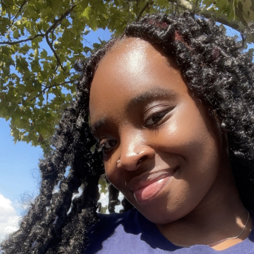 Saniyah L - SNHU Babysitter