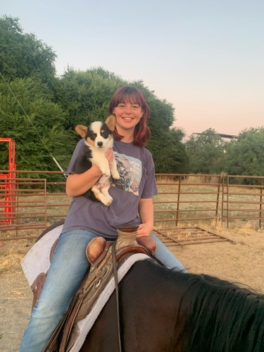 Audrey C - HSU Babysitter