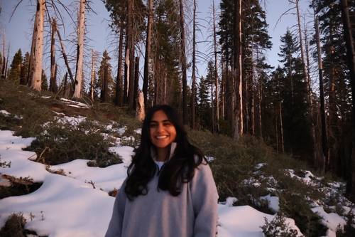 Ravleen K - UC Merced Babysitter