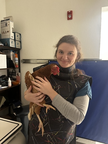 Anna C - UMD Babysitter