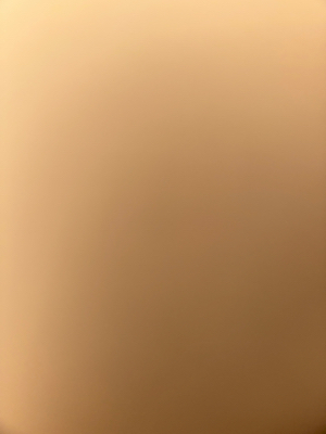 Alexia C - The Community College of Baltimore County Babysitter