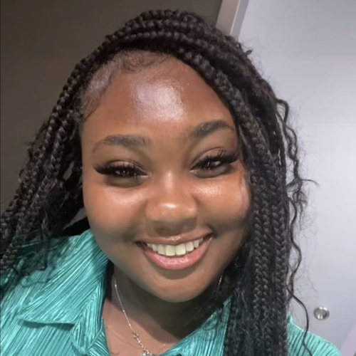 Alysha D - Bristol Community College  Babysitter