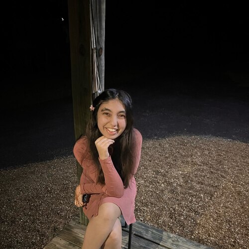 Alishaba A - South Alabama Babysitter