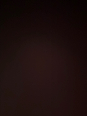 Najma A - WGU Babysitter