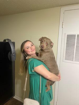 Jillian R - South Alabama Babysitter