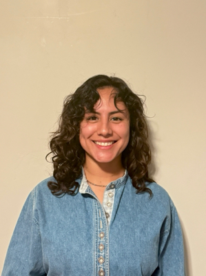 Irlanda V - Sul Ross Babysitter