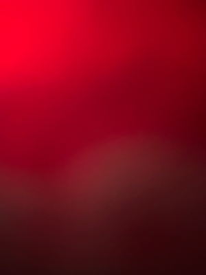 Kylie R - FHSU Babysitter