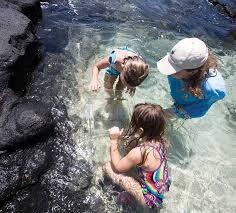 Marnie M - Kapi'olani Community College  Babysitter