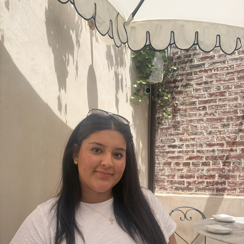 Camila Q - Westchester Community College  Babysitter